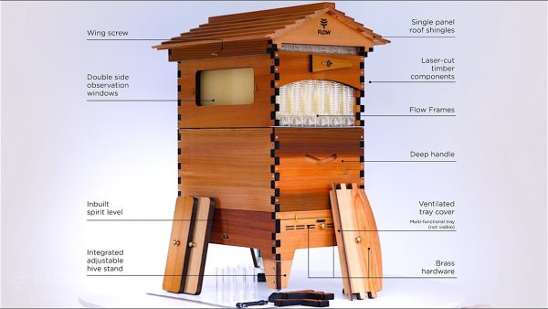 Flow Hive 2+