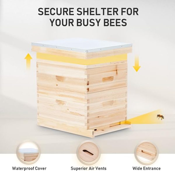 10 Frame Langstroth Beehive