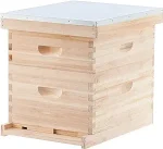 10 Frame Langstroth Beehive