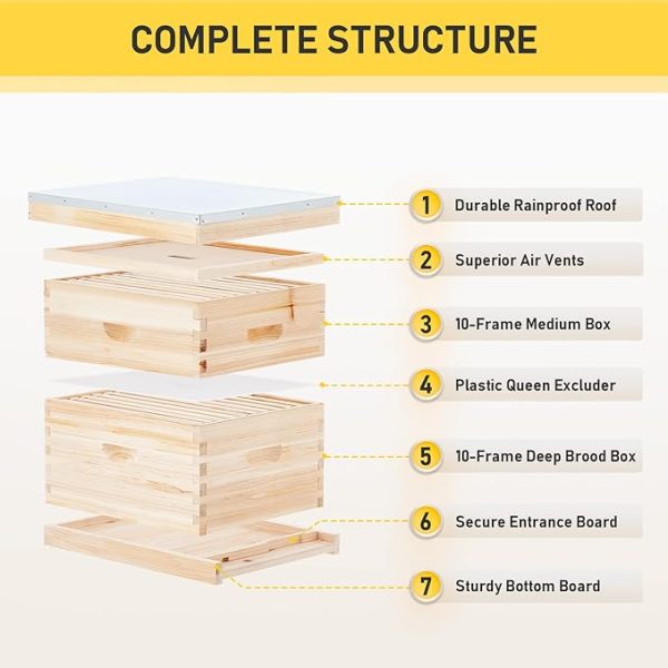 10 Frame Langstroth Beehive