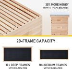 10 Frame Langstroth Beehive